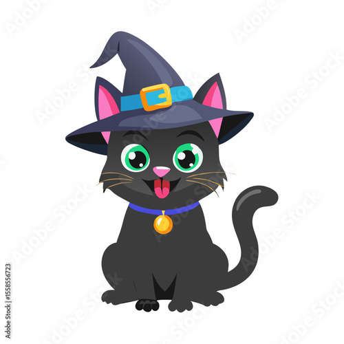 black and white cat