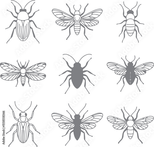 Nine Gray Insect Silhouettes Collection Detailed Line Art Drawings Beetles Flies Bugs Grey Scale Vector Illustrations