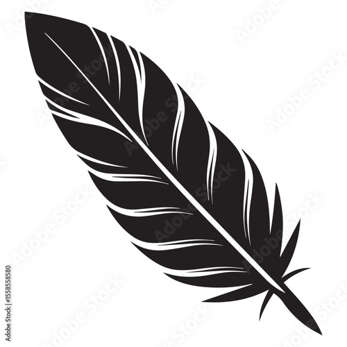 feather isolated on white background