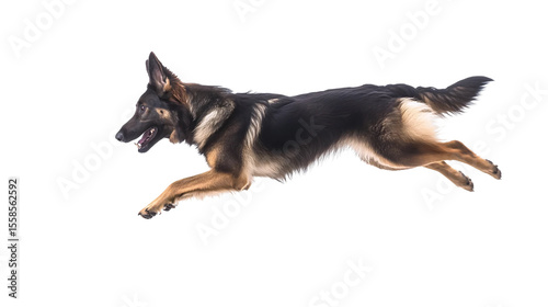 High Flying Pup