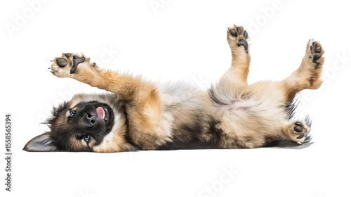Happy Pup on Floor