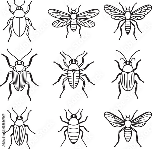 Nine Black and White Insect Silhouettes Collection Beetles Bugs Flies Line Art Graphic Design Elements