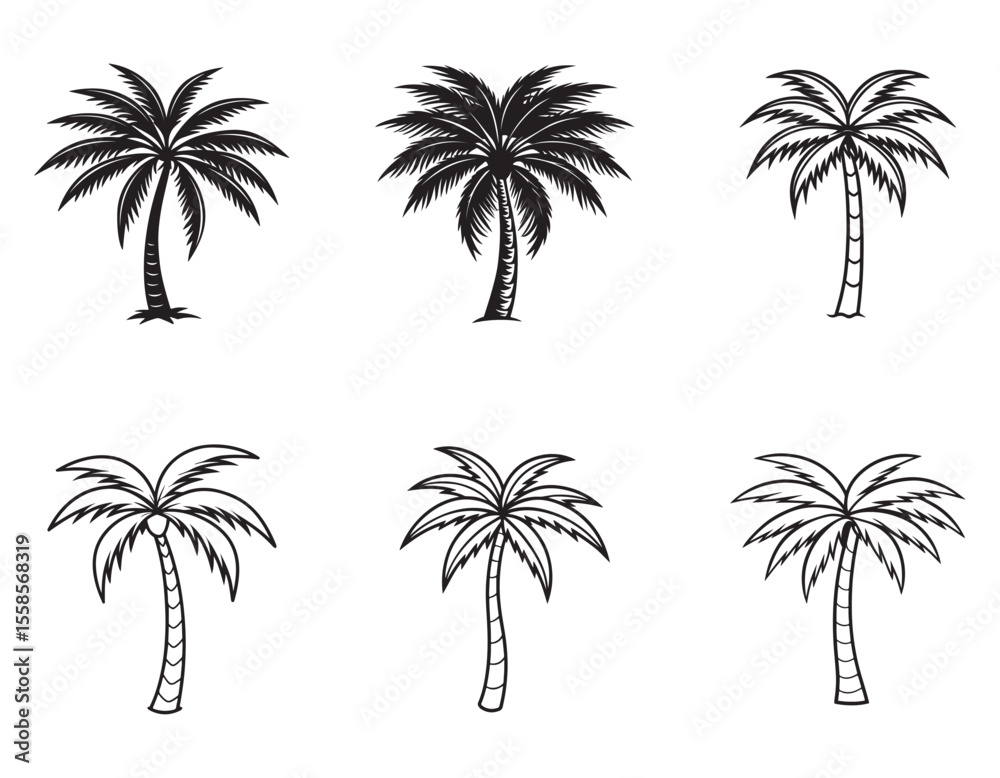 Fototapeta premium set of palm trees