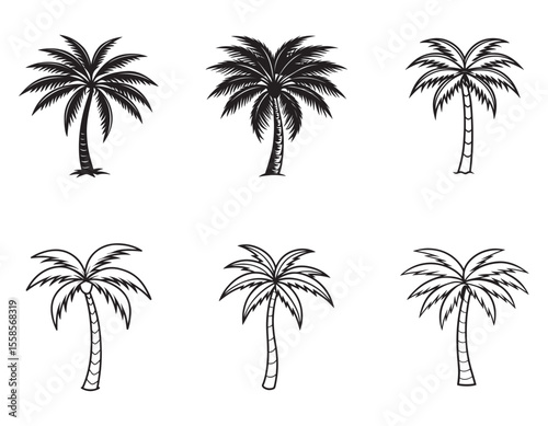 set of palm trees