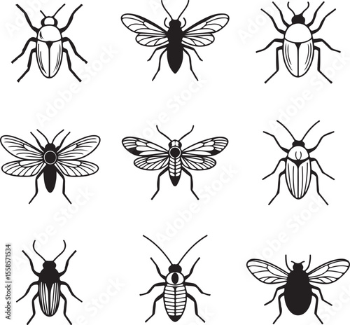 Nine Black Insect Silhouettes Collection Beetles Flies Bugs Line Art Graphic Design Elements White Background