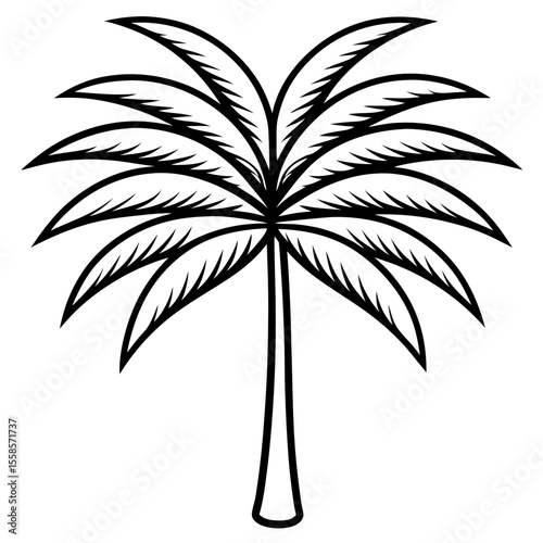 palm tree silhouette