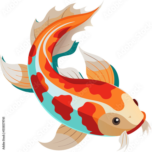 vector illustration of a Koi fish