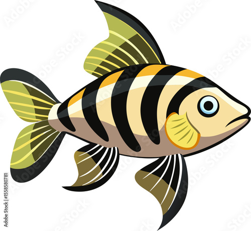 Zebrafish vector 