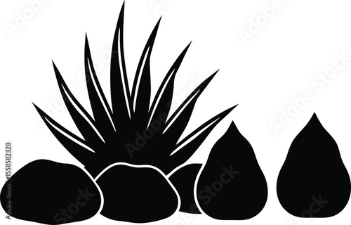 Decorative Rocks and Succulent Plant Arrangement	