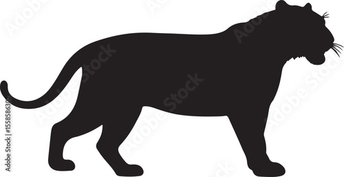Southern South American cougar in silhouette.