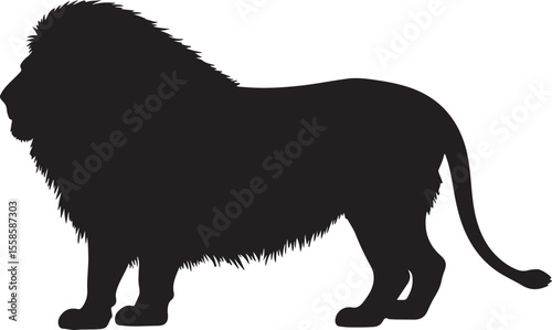 Cape lion in silhouette pure white background.