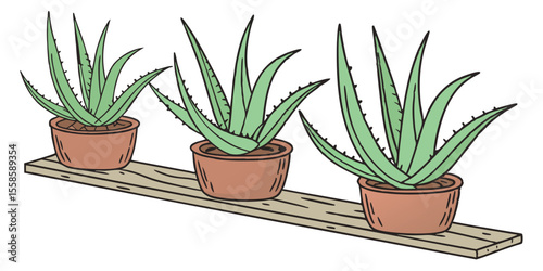 cactus in flowerpot
