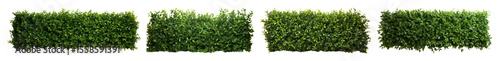 PNG Lush green hedge panels aligned, element set on transparent background