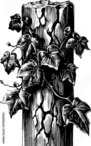 Vintage broken ionic column with ivy theme for retro design