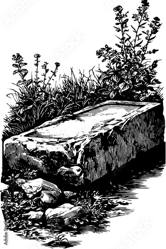 Overgrown ruined entablature with vintage engraving style
