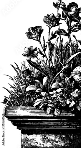 Vintage floral cornice illustration for architectural decor and design