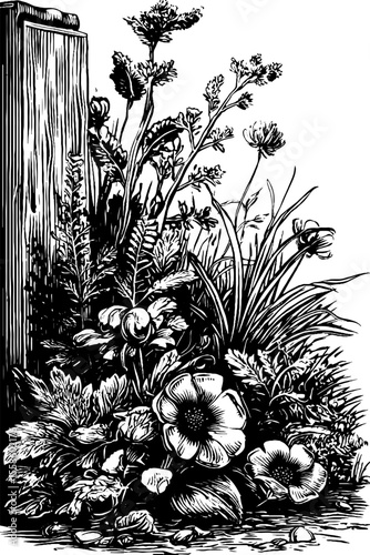 Vintage floral sketch with weathered cornice and botanical elements for retro design