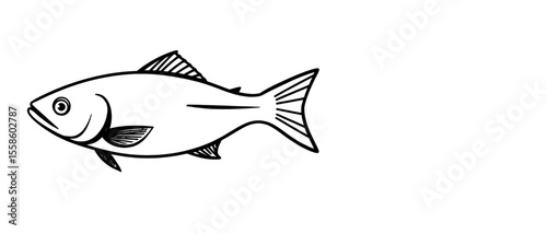 a black and white drawing of a fish on a white background. The fish is depicted in great detail, with its fins, scales, and eyes clearly visible
