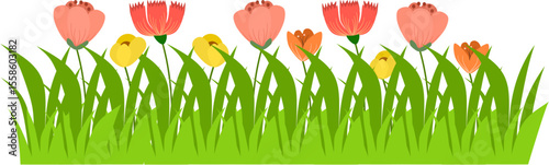 yard flower background