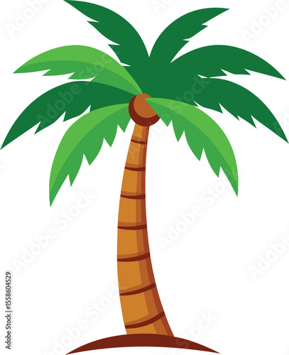 palm tree nature summer island coconut