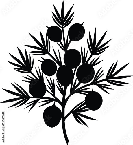 juniper berries silhouette, botanical fruit icon, leaf vector illustration