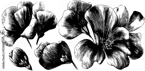 Vintage floral embroidery design with detailed petals and stems for craft projects