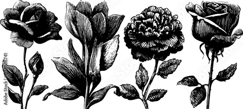 Black and white vintage floral collection for elegant craft designs