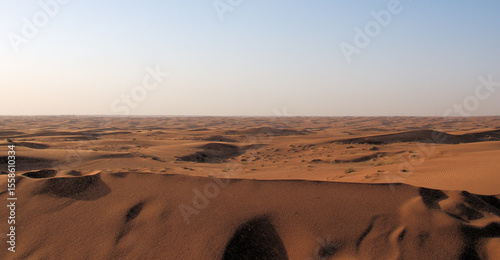 The Desert