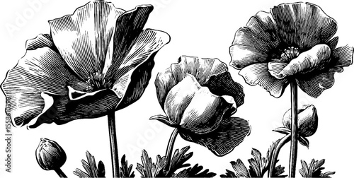 Hand drawn psychedelic flowers with melting petals sketch for retro design