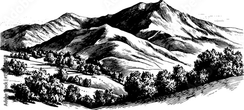 Hand drawn vintage topographic landscape illustration with mountain elevation textures