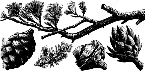 Nature-inspired design featuring tree branches, moss tufts, and pine elements for art and decor