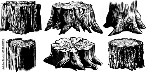 Vintage tree trunks and bark textures sketch for design and crafts