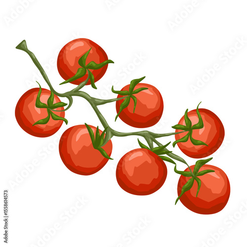 Hand drawn cherry tomatoes on vine. Vector food illustration on white background for culinary design, diet visuals, packaging, market scenes, stickers and organic food products