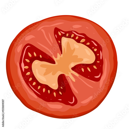 Tomato circle slice. Vector hand drawn food illustration of whole tomato slice on white background for culinary design, diet visuals, packaging, market scenes, stickers