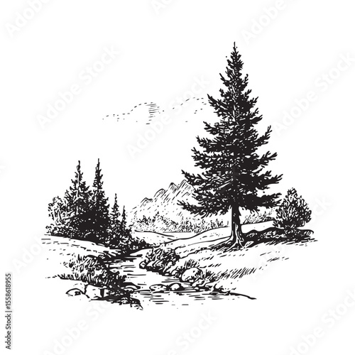 Tranquil forest landscape with creek and evergreen trees