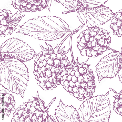 Hand drawn fresh blackberries. Vector seamless pattern with blackberries berries and leaves. For kitchen design, food packaging, textiles.