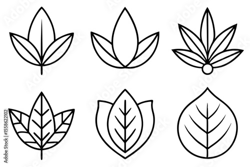 Wellness Leaf Minimalist Line Art for Natural Living