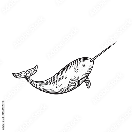Narwhal swimming in deep ocean waters in a whimsical style