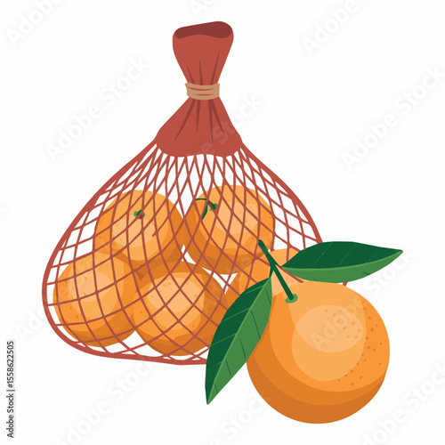 Illustration of oranges in a net bag healthy eating citrus fruit vitamin c orange color fresh 90