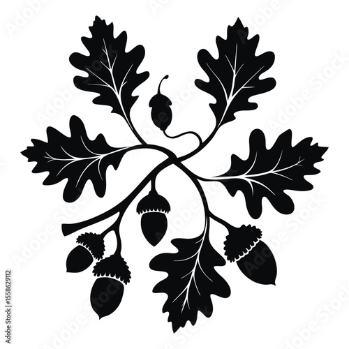 Black oak leaves and acorns arrangement branches white