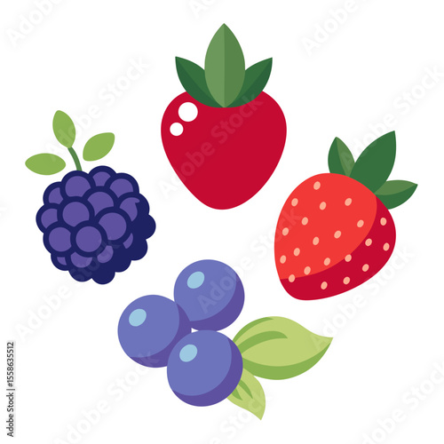 vector illustration of berries