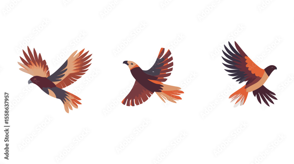 Fototapeta premium Eagle Vector Graphic Design – Majestic Bird of Prey Illustration