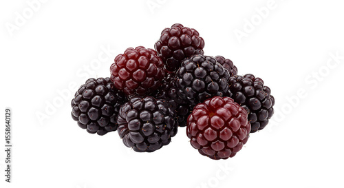 Isolated ripe blackberries and raspberries, a healthy sweet summer fruit