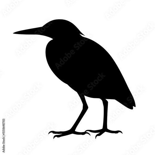 Silhouette of a Green Heron Against a Minimalist White Background