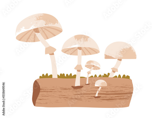 Rustic fly agaric mushroom scene with moss, tree stumps, and forest details. Flat vector illustration.