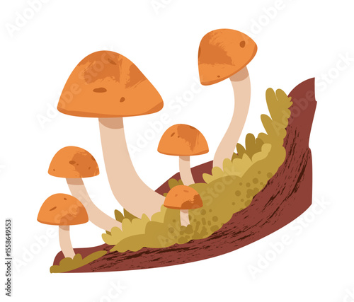 Mushrooms on a mossy forest stump. Autumn harvest, wild nature, and cozy woodland. Flat vector illustration.