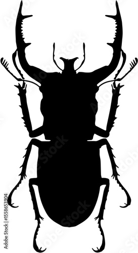 black silhouette of a white stag beetle