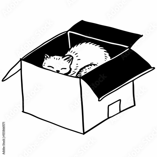  Sleeping cartoon cat curled inside open box