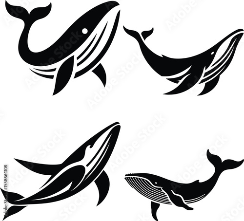 Four Black and White Whale Illustrations Presenting Different Body Styles and Positions Against a White Background for Graphic Design