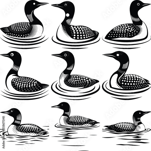 Black and white linocut style illustrations of common loons duck on water and Swan Reflection Water 